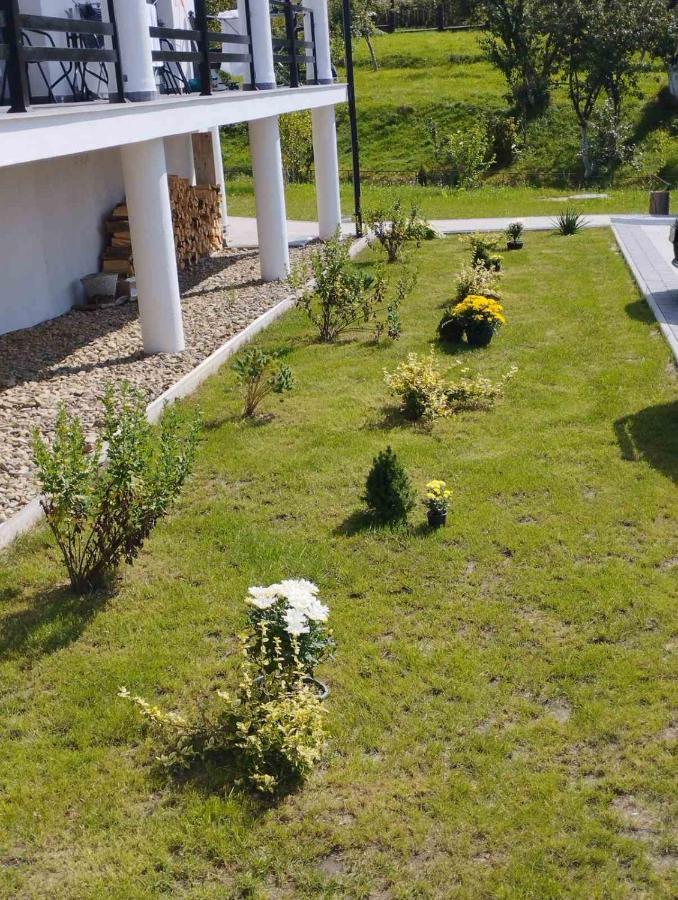 Перлина Карпат Διαμέρισμα Skhidnytsia Εξωτερικό φωτογραφία