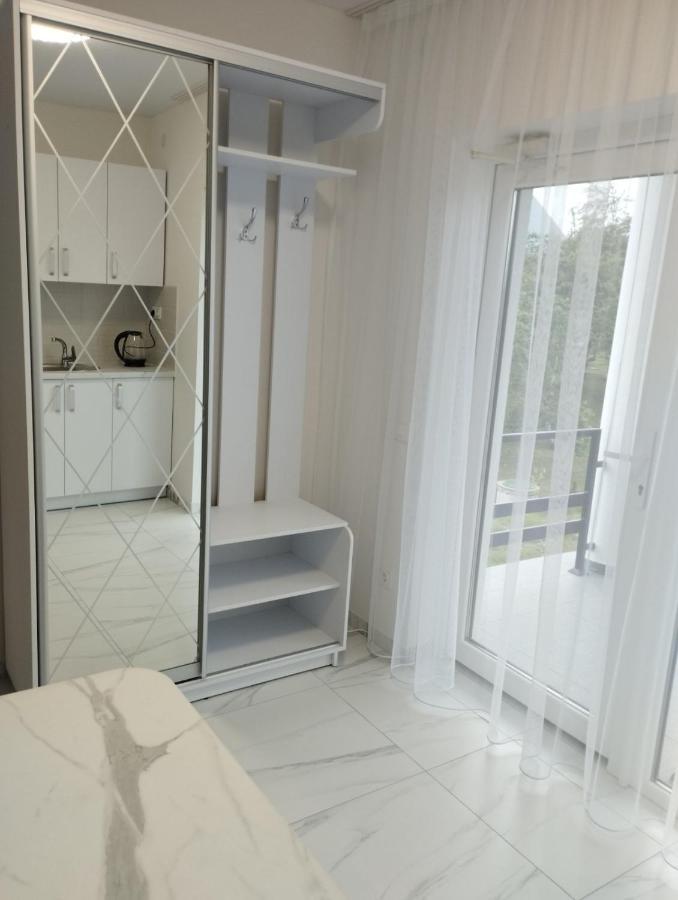 Перлина Карпат Διαμέρισμα Skhidnytsia Εξωτερικό φωτογραφία